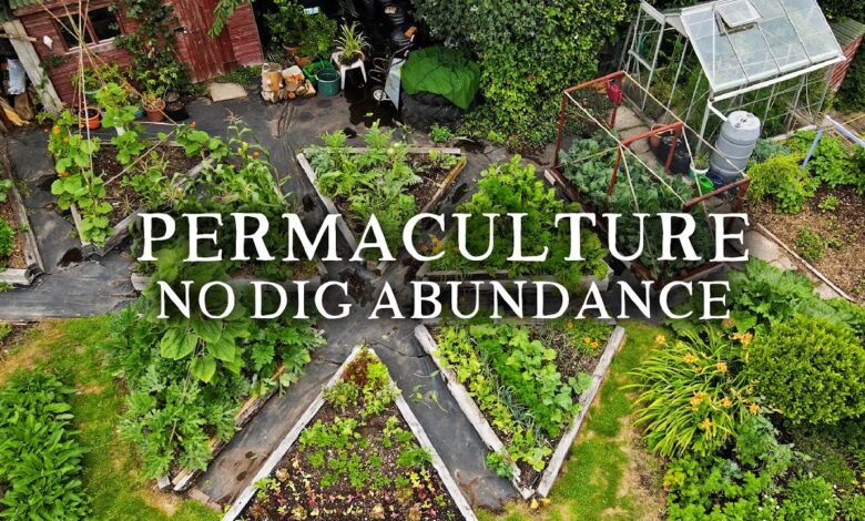 permaculture garden