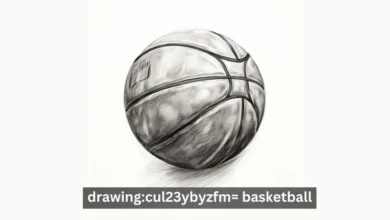 drawing:cul23ybyzfm= basketball